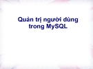 Quản trị người dùng trong MySQL