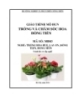 Giáo trình Giáo trình Trồng và chăm sóc hoa đồng tiền - MĐ03: Trồng hoa huệ, lay ơn, đồng tiền, hồng môn